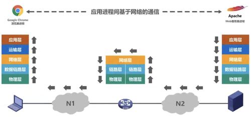 計(jì)算機(jī)網(wǎng)絡(luò)概述 技術(shù)開發(fā)與應(yīng)用